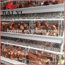 Types of Battery Cage System For Chicken In Poultry Farm